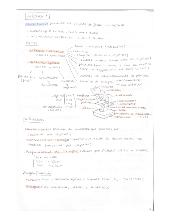 Miniatura del documento apuntes-practicas-bio.pdf