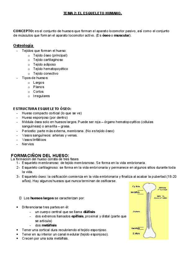 Miniatura del documento TEMA 2.pdf