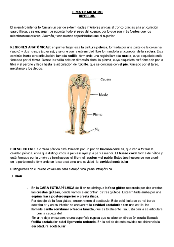 Miniatura del documento TEMA 10.pdf