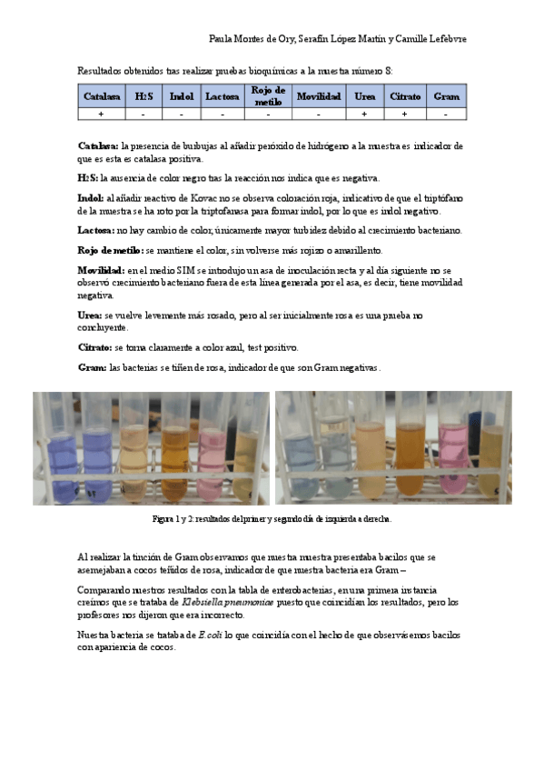 Miniatura del documento informe-laboratorio-trabajo.pdf