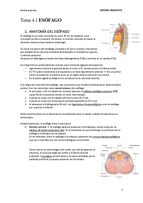 Miniatura del documento Tema-4.1-Esofago.pdf