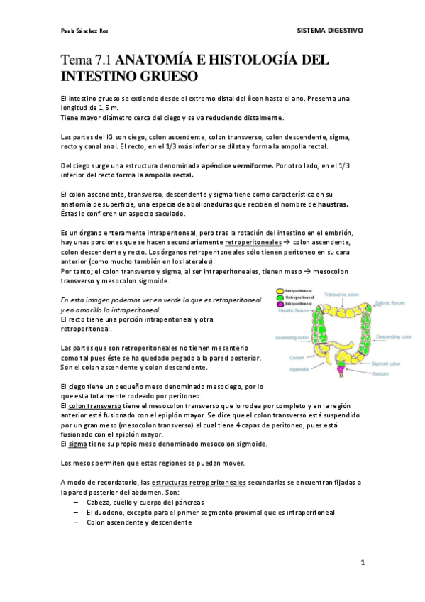 Miniatura del documento Tema-7.1-Anatomia-e-histologia-del-intestino-grueso.pdf