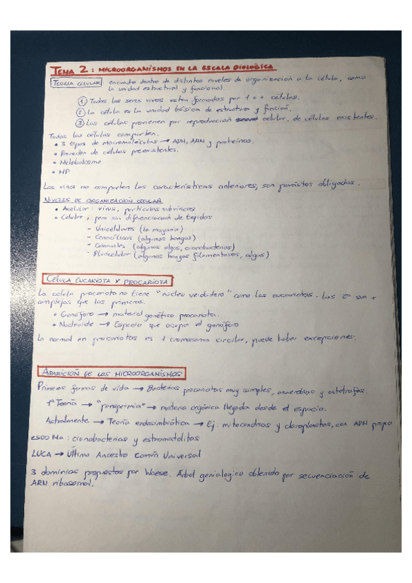 Miniatura del documento Tema-2-Microbiologia.pdf