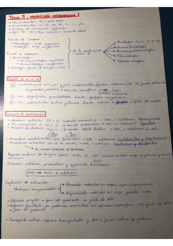 Miniatura del documento Temas-5-6-y-7-Microbiologia.pdf