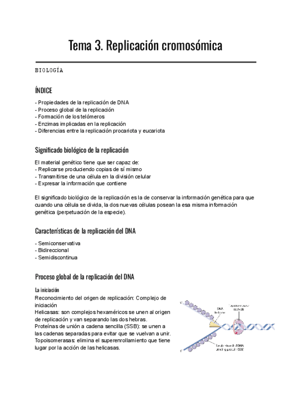 Miniatura del documento Bio-Molecular-Tema-3-Replicacion-cromosomica.pdf