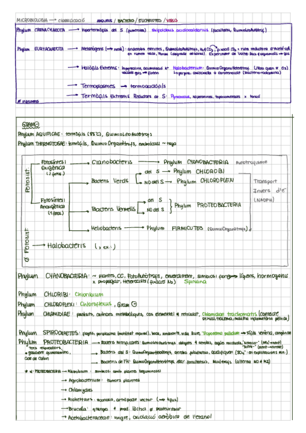 Miniatura del documento Megaresum.pdf