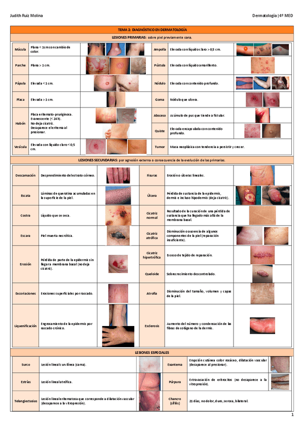 Miniatura del documento TEMA-2-DIAGNOSTICO-EN-DERMATOLOGIA.pdf