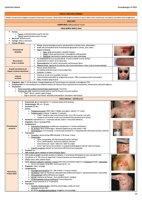Miniatura del documento TEMA-8-INFECCIONES-VIRICAS.pdf