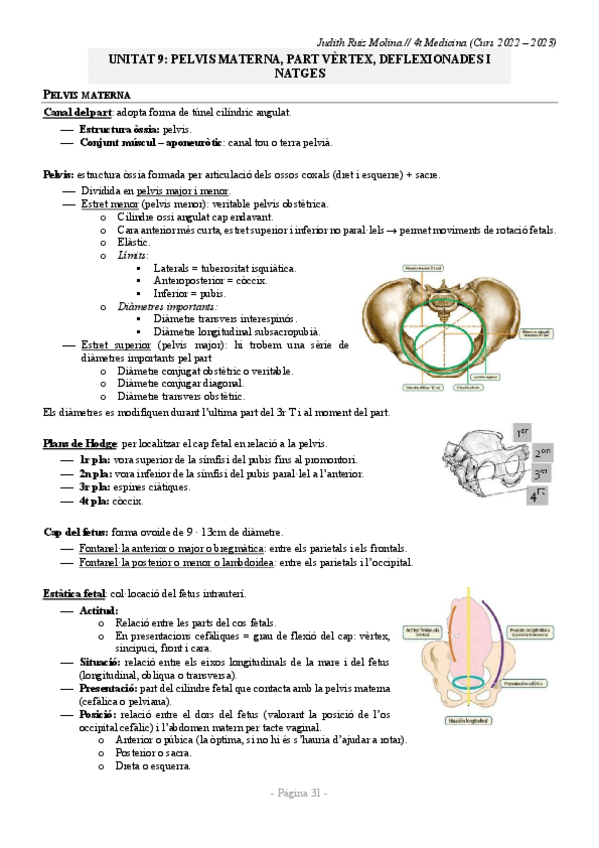 Miniatura del documento RESUM-TEMA-9.pdf