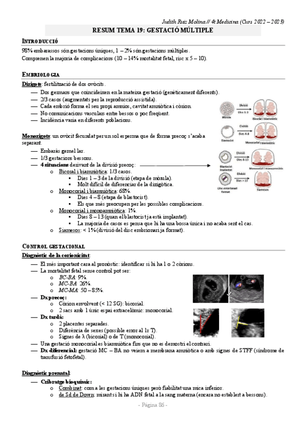 Miniatura del documento RESUM-TEMA-19.pdf