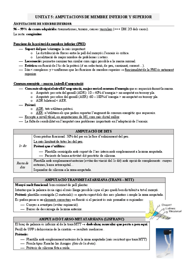Miniatura del documento TEMA-5.pdf