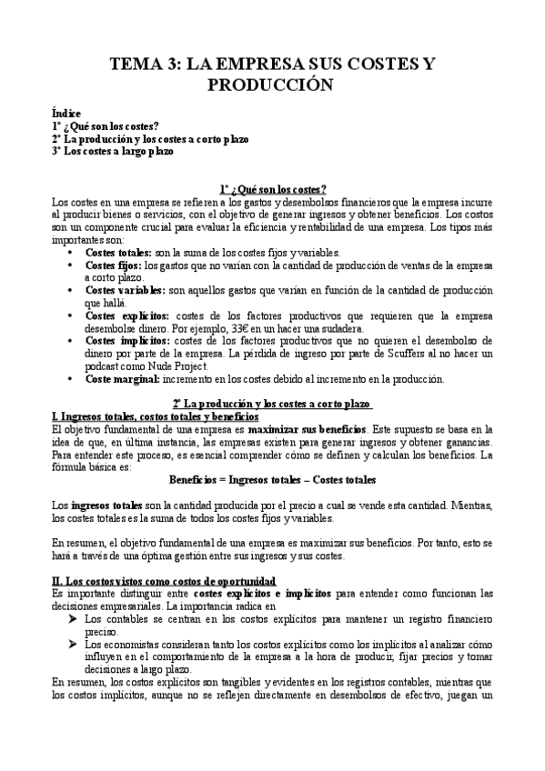 Miniatura del documento TEMA-3-LA-EMPRESA-SUS-COSTES-Y-PRODUCCION.pdf
