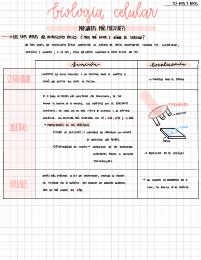 Miniatura del documento Preguntas-Examen-Parte-Biocel.pdf