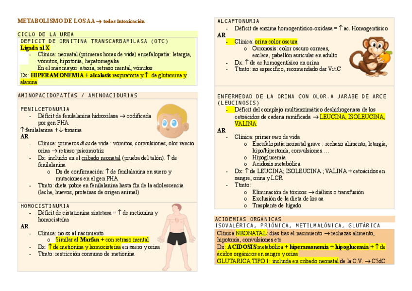 Miniatura del documento esquema-deficit-congenito-metabolismo.pdf