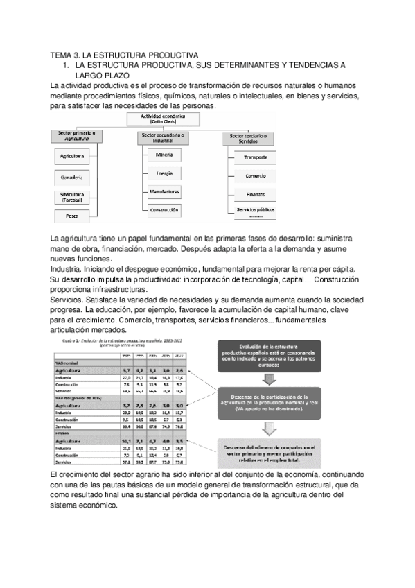 Miniatura del documento TEMA-3.-LA-ESTRUCTURA-PRODUCTIVA.pdf