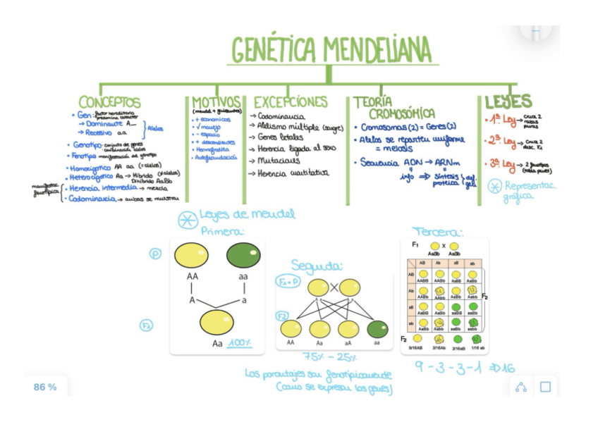 Miniatura del documento Documento-4.pdf