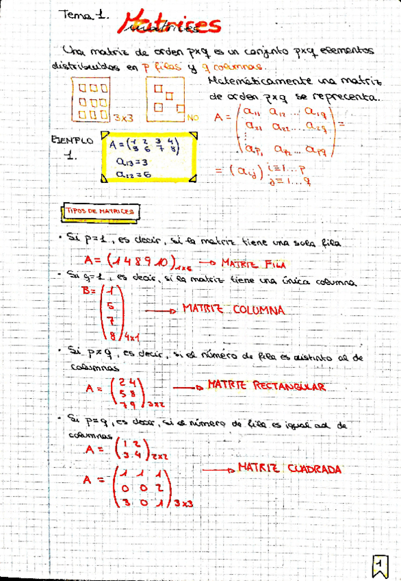 Miniatura del documento Tema 1 - Matrices.pdf