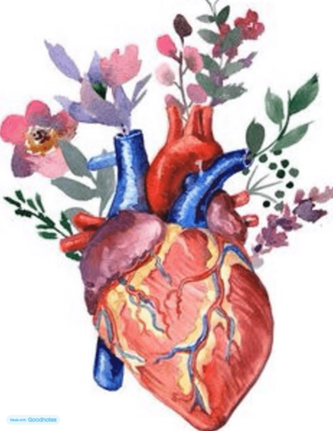 Miniatura del documento ESTRUCTURA-I-FUNCIO-DEL-COS-HUMA-TODO-APUNTES.pdf