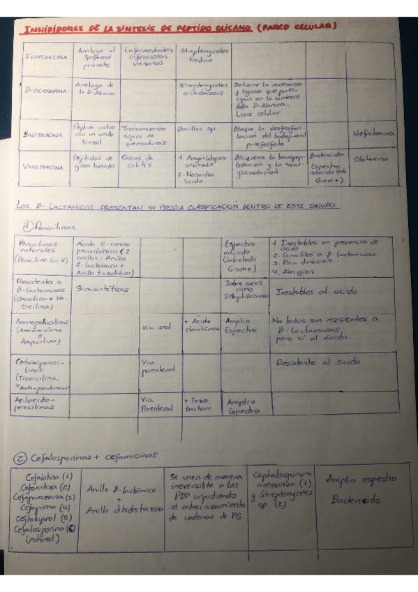 Miniatura del documento Cuadro-Inhibidores-Temas-11-y-12-Microbiologia.pdf