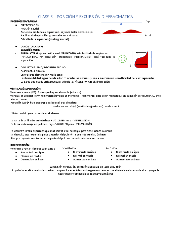 Miniatura del documento Fisio-respi.pdf
