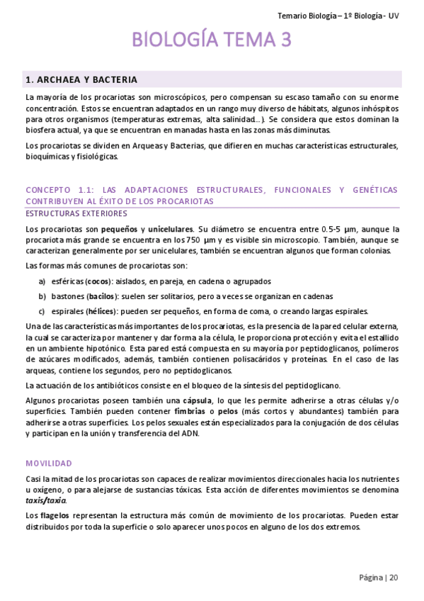 Miniatura del documento APUNTES-TEMA-3..pdf