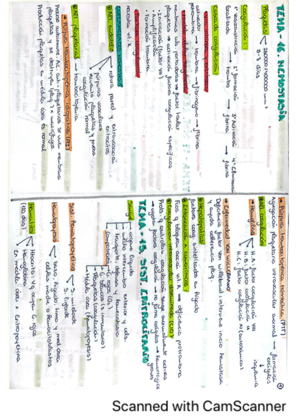 Miniatura del documento esquemas-clinica-2oparcial.pdf