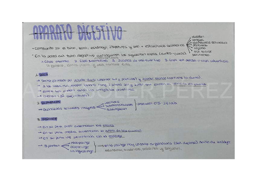 Miniatura del documento APARATO-DIGESTIVO-ANATOMIA.pdf