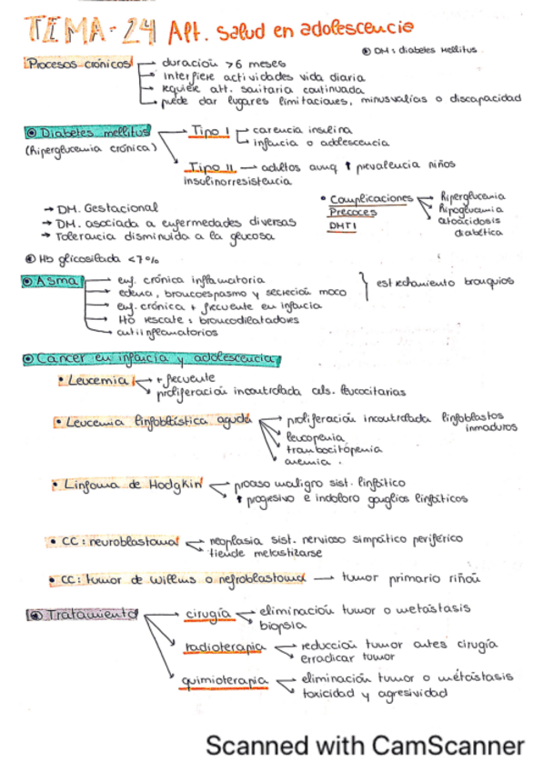 Miniatura del documento esquemas-infancia.pdf