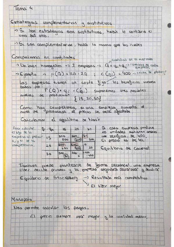 Miniatura del documento Teoria-tema-4.pdf