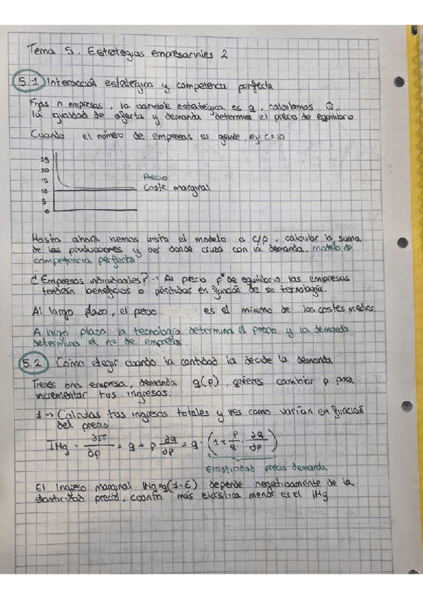 Miniatura del documento Teoria-tema-5.pdf