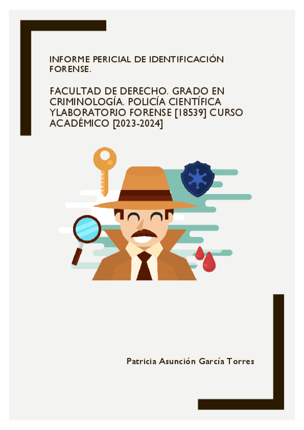 Miniatura del documento Informe-pericial.pdf