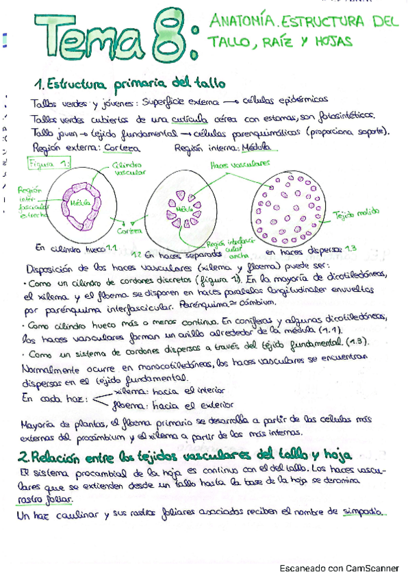 Miniatura del documento Temas-8-15-resumidos-2Parcial.pdf