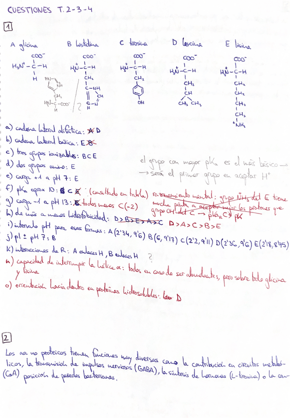 Miniatura del documento cuestiones-temas-de-proteinas.pdf