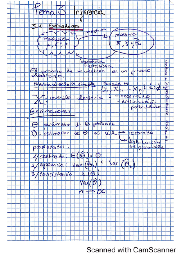 Miniatura del documento inferencia-apuntes.pdf