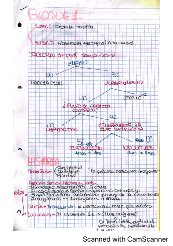 Miniatura del documento APUNTES-PENSAMIENTO-TODO.pdf