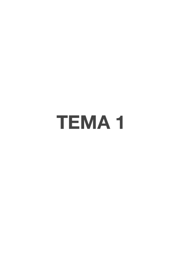 Miniatura del documento direccion-temas-1-5.pdf