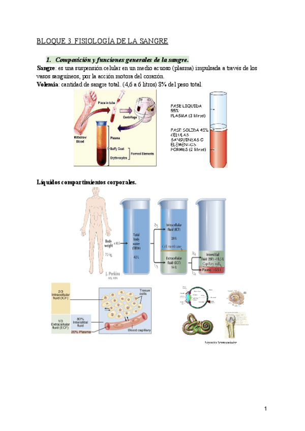 Miniatura del documento Bloque-3.-Fisiologia-de-la-sangre.pdf