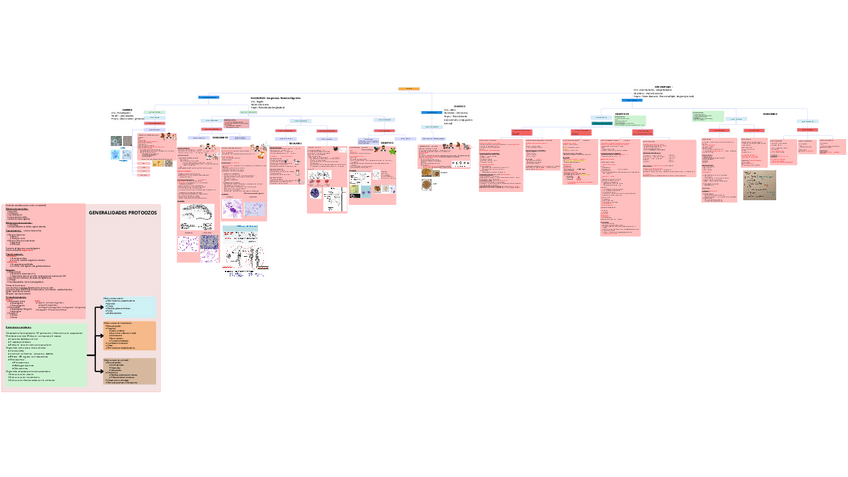 Miniatura del documento Parasitologia TODO PROTOZOOS.pdf