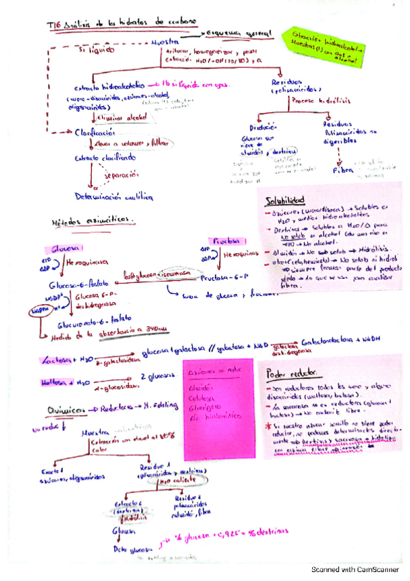 Miniatura del documento Bromatologia.pdf