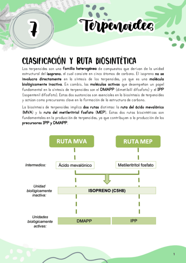 Miniatura del documento Tema-7.-Terpenos.pdf