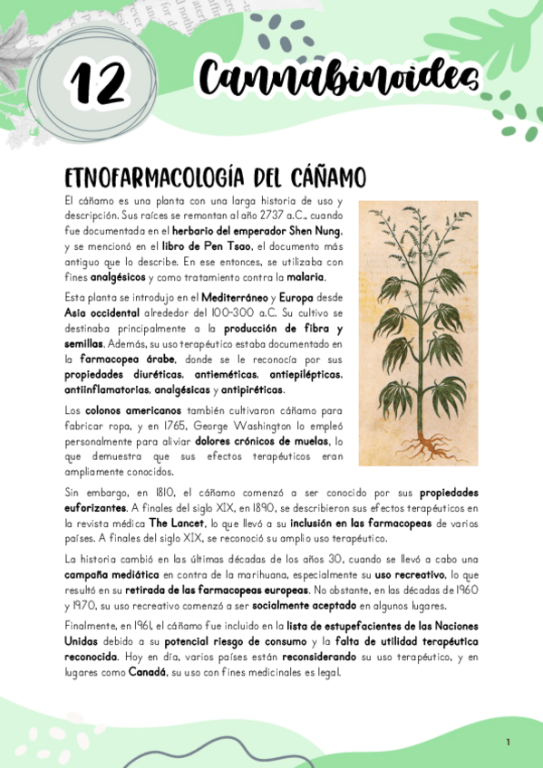 Miniatura del documento Tema-12.-Cannabinoides.pdf