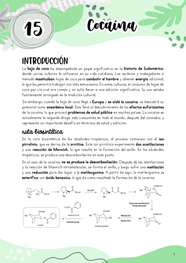 Miniatura del documento Tema-15.-Cocaina.pdf