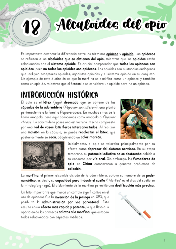 Miniatura del documento Tema-18.-Alcaloides-del-opio.pdf