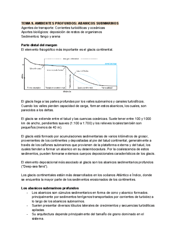 Miniatura del documento TEMA-9-AMBIENTES-PROFUNDOS-ABANICOS-SUBMARINOS.pdf