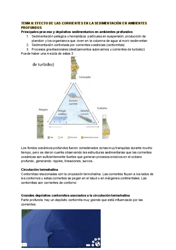 Miniatura del documento TEMA-8-EFECTO-DE-LAS-CORRIENTES-EN-LA-SEDIMENTACION-EN-AMBIENTES-PROFUNDOS.pdf