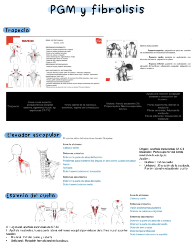Miniatura del documento TEF-PGM-Y-Fibrolisis-practico.pdf
