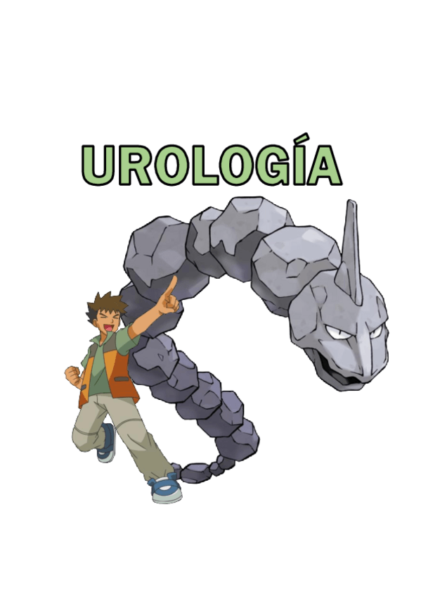 Miniatura del documento Urologia-HCSC.pdf