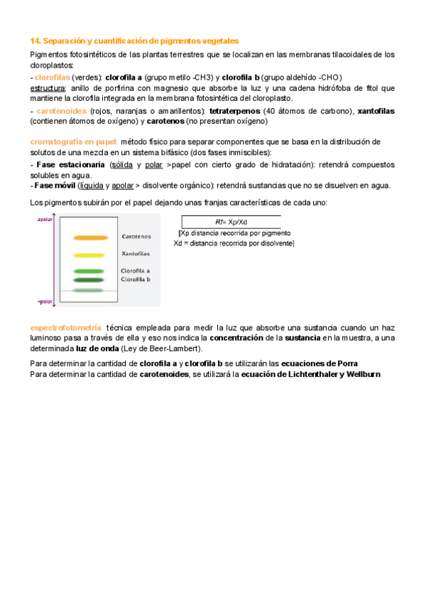 Miniatura del documento P.14.-Separacion-y-cuantificacion-de-pigmentos-vegetales.pdf