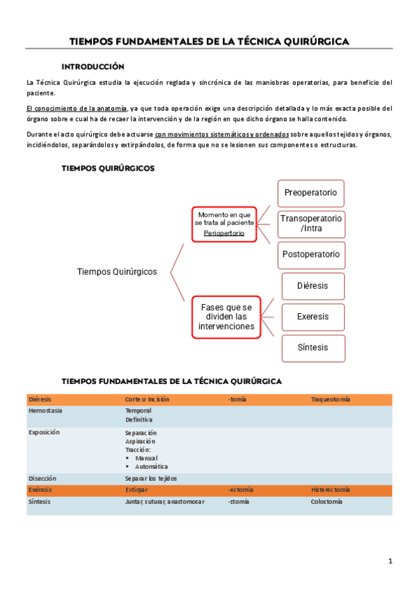 Miniatura del documento TIEMPOS-FUNDAMENTALES-DE-LA-TECNICA-QUIRURGICA.pdf