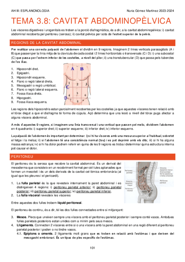 Miniatura del documento TEMA-3.8.-AP-DIGESTIU.-CAVITAT-ABDOMINOPELVICA.-AH-III-APUNTS-101-105.pdf